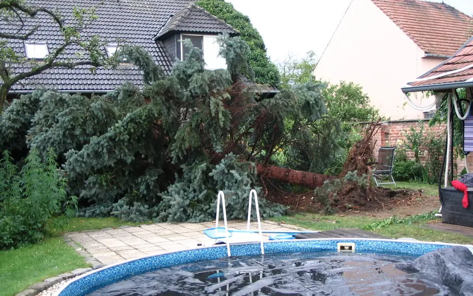 Storm Damage Tree Cleanup in Ocala