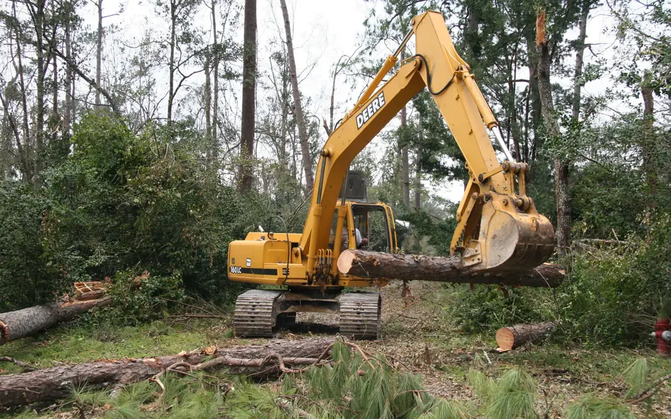 Tree Removal in Ocala