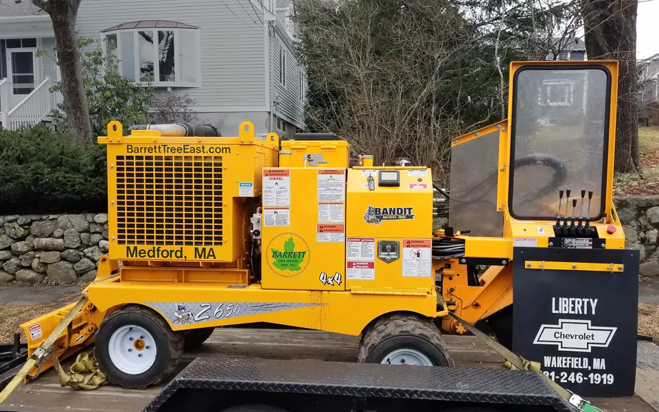 Stump Grinding in Ocala